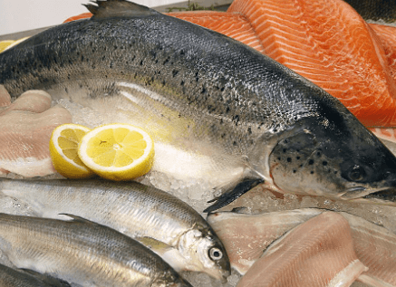 the Caspian Sea fish