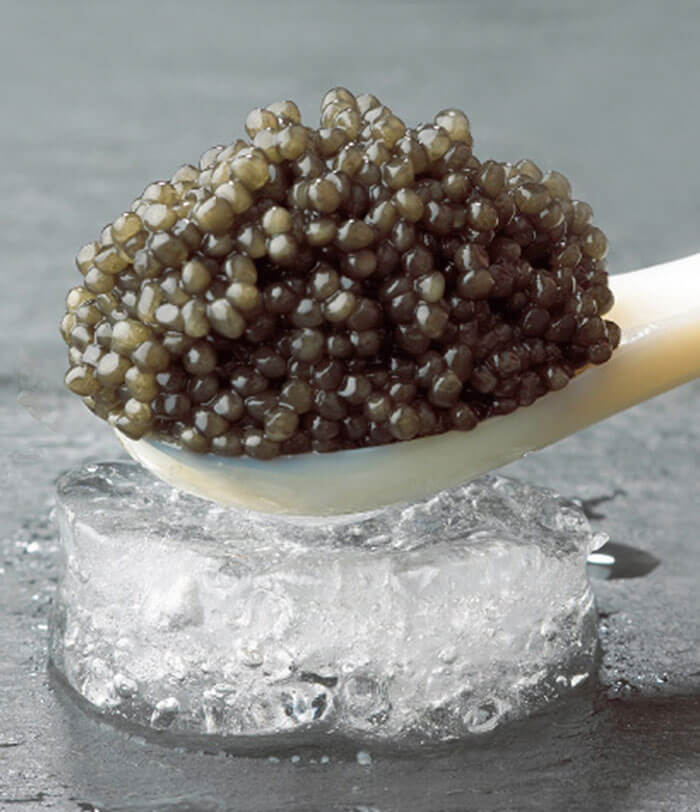Sevruga caviar