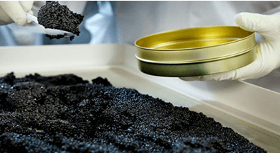 wholesale caviar