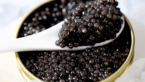 Beluga Caviar