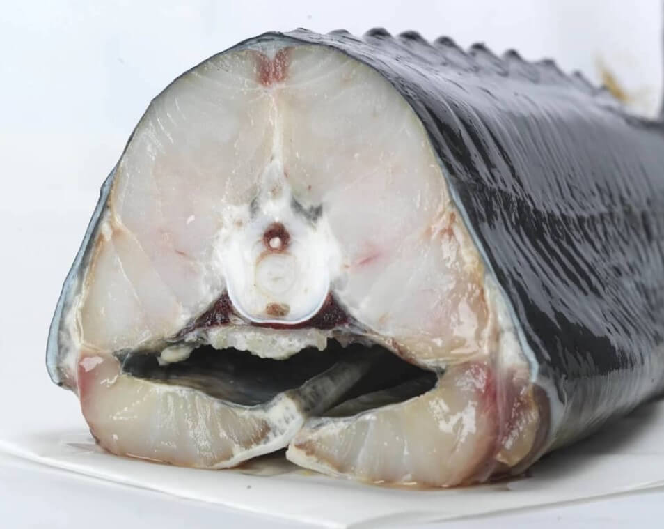 Is sturgeon good for health