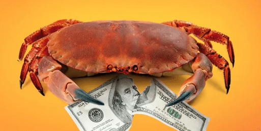 The most expensive sea food in the world