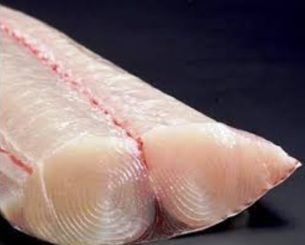 What does sturgeon fish taste like