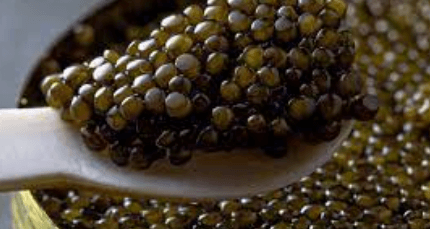Kaluga caviar