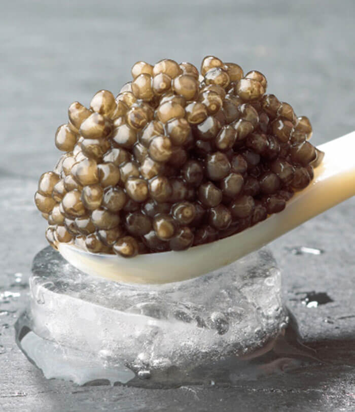 Beluga caviar